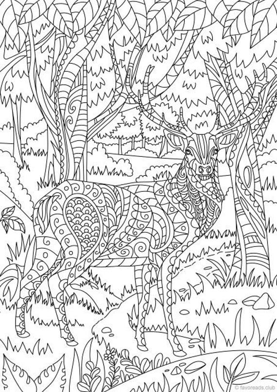 Deer printable adult coloring page from favoreads coloring book pages for adults and kids coloring sheets coloring designs