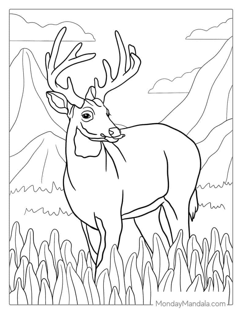 Deer coloring pages free pdf printables