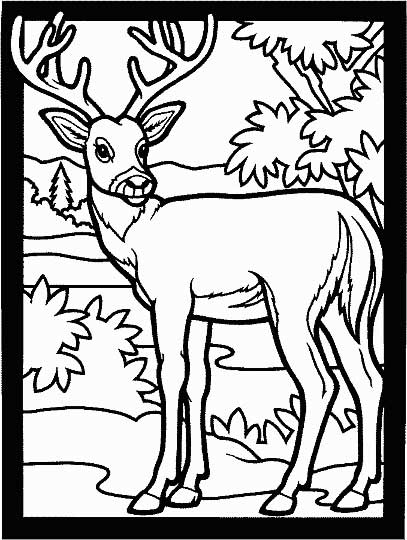 Deer loring page for kids