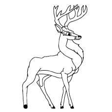 Top deer coloring pages for your little ones