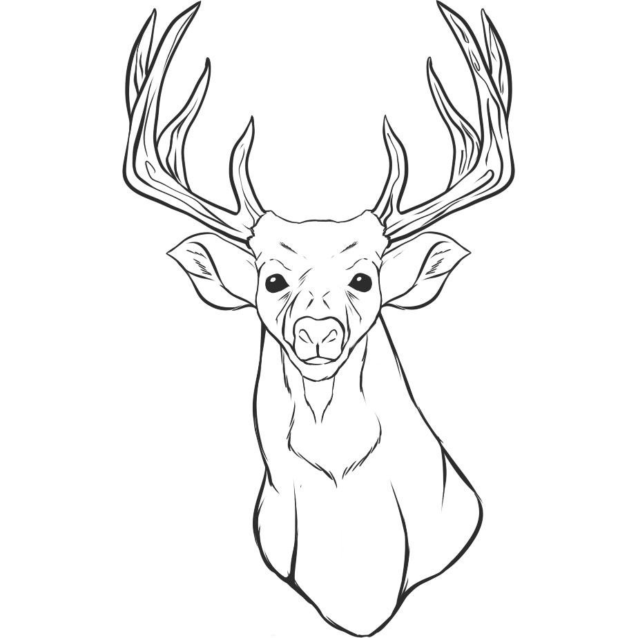 Free printable deer coloring pages for kids