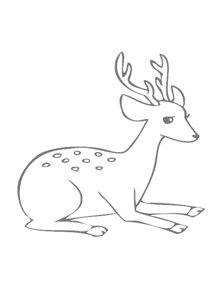 Free printable deer coloring pages for kids