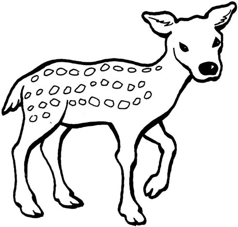 Deer coloring pages