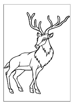 Engage your childs imagination with our printable deer coloring pages for kids