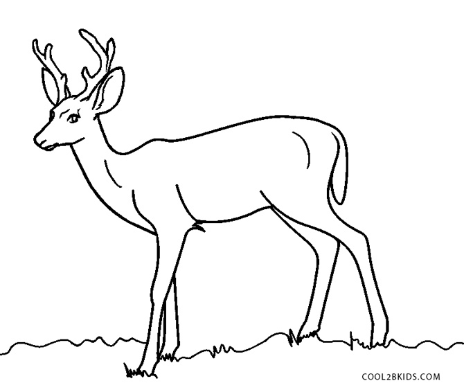 Free printable deer coloring pages for kids