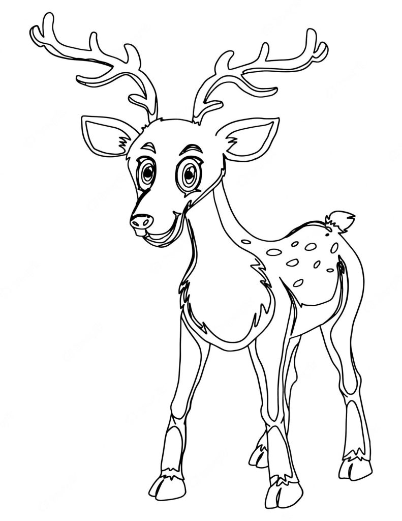 Deers coloring pages printable