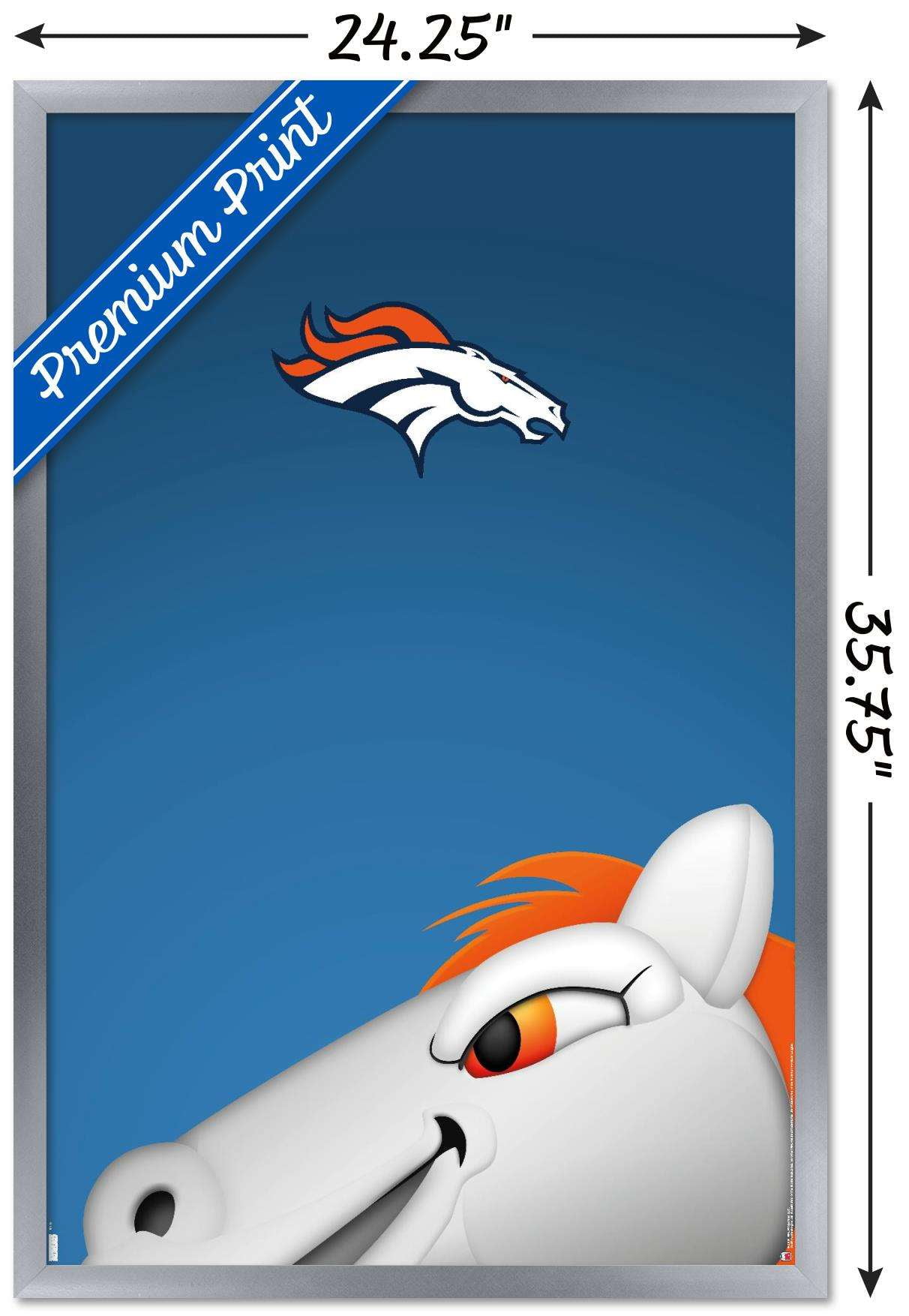 Nfl denver broncos