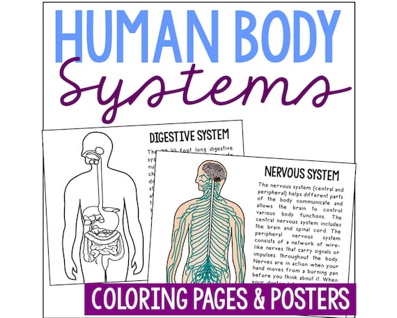 Human body systems coloring pages activity science printables anatomy worksheets homeschool curriculum biology life science