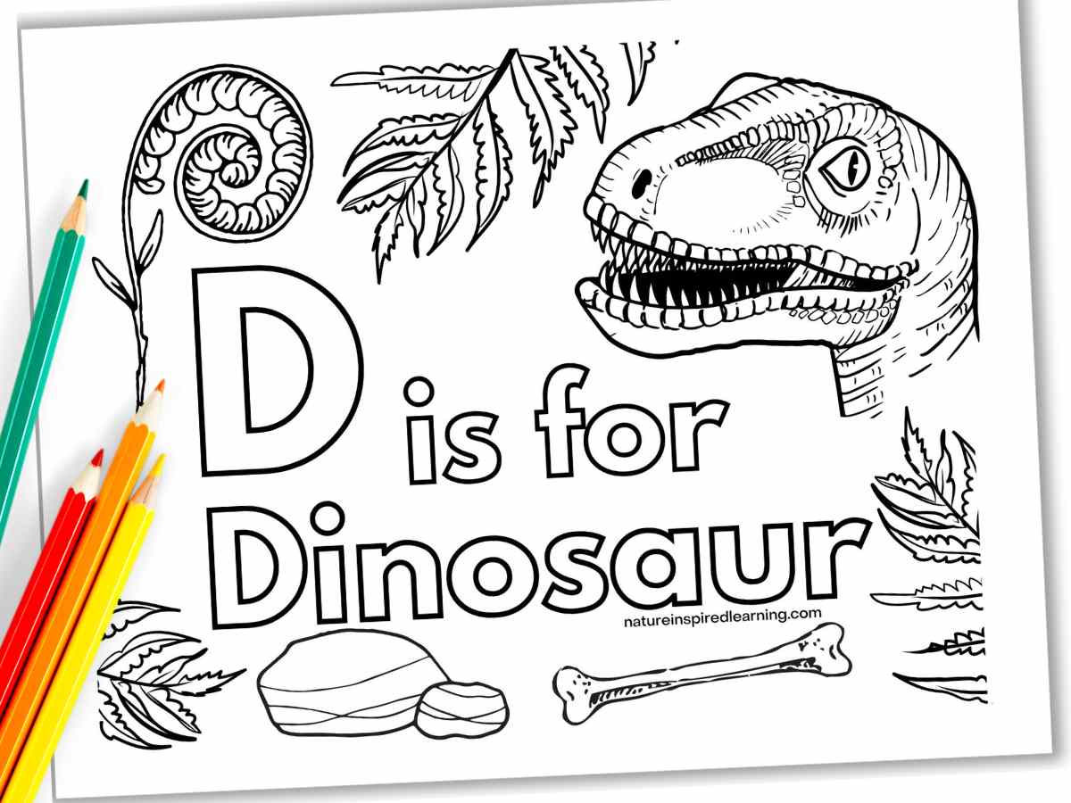 Dinosaur coloring pages