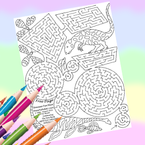 Coloring books for adults by the art of vikki