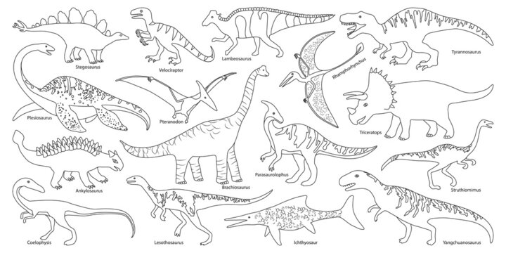 Dinosaur outline images â browse photos vectors and video