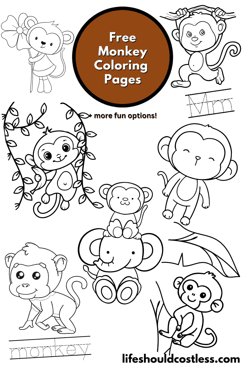 Monkey coloring pages free printable pdf templates