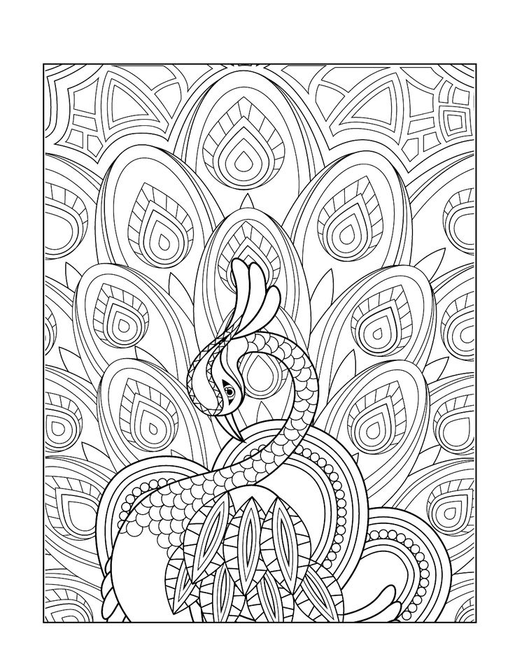 Printable coloring pages peacock coloring pages mandala coloring pages coloring pages