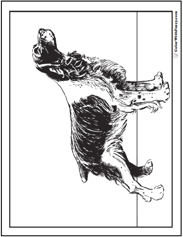 Dog coloring pages â breeds bones and dog houses