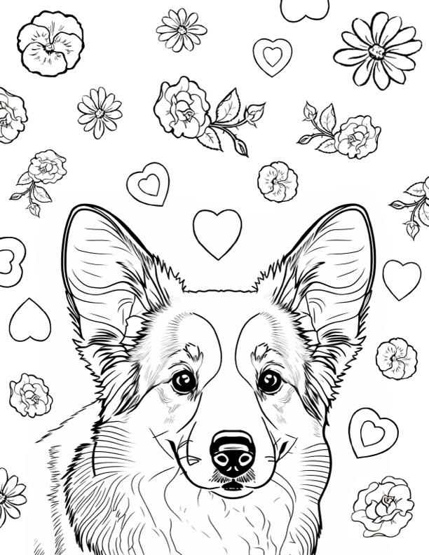 Corgi coloring pages