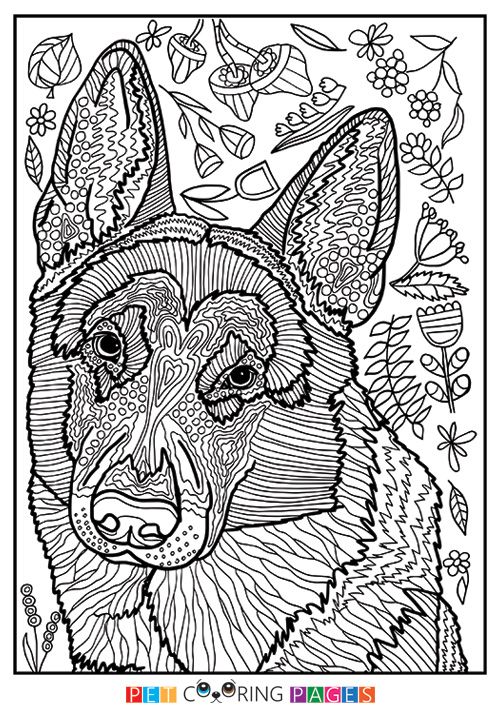 Pin by barbara on coloring dog dog coloring page dog coloring book animal coloring pages