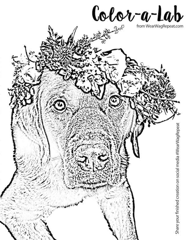 Free printable lucy flower crown coloring page for adults