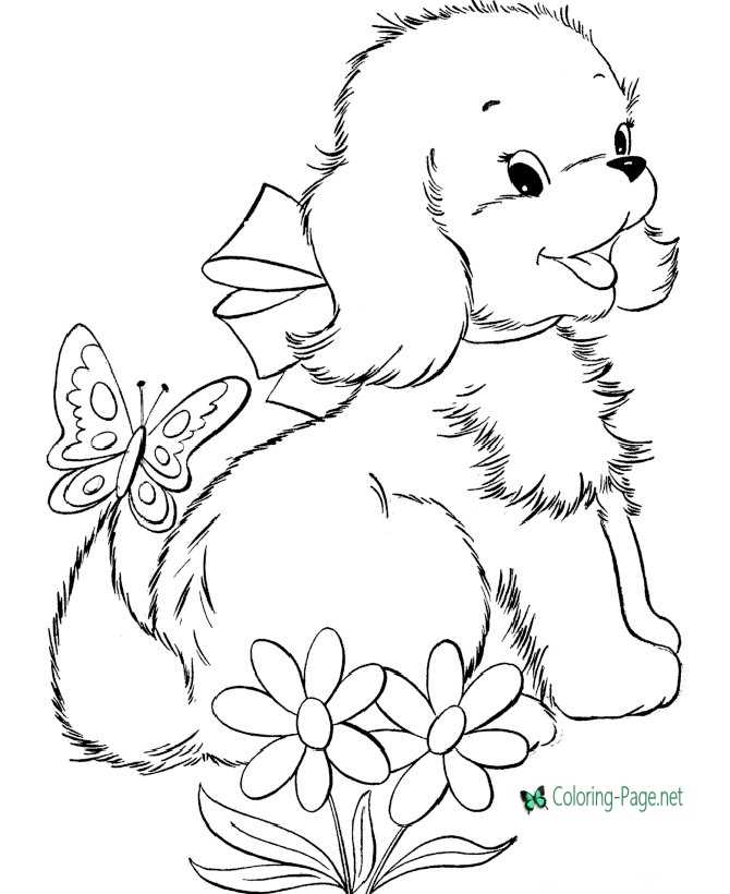 Dog coloring pages