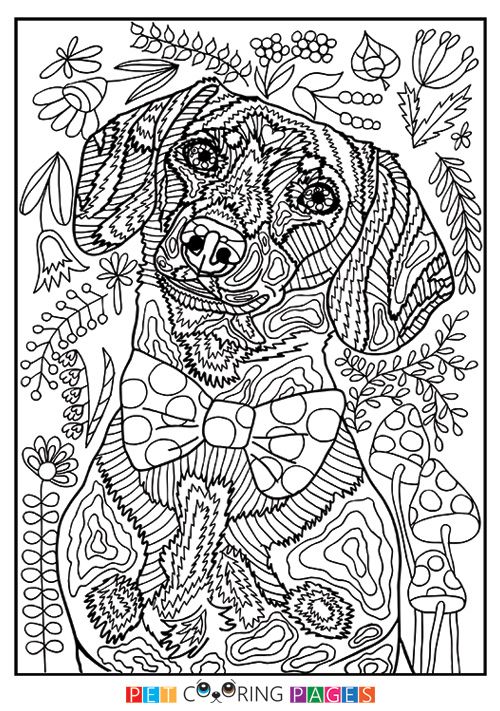 Pin by carol ratliff on coloring x dog coloring book skull coloring pages dog coloring page