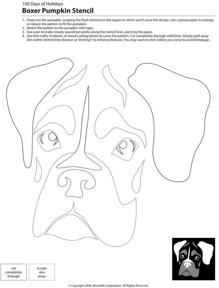 Downloadable dog breed pumpkin stencils dog stencil pumpkin stencil pumpkin carvings stencils