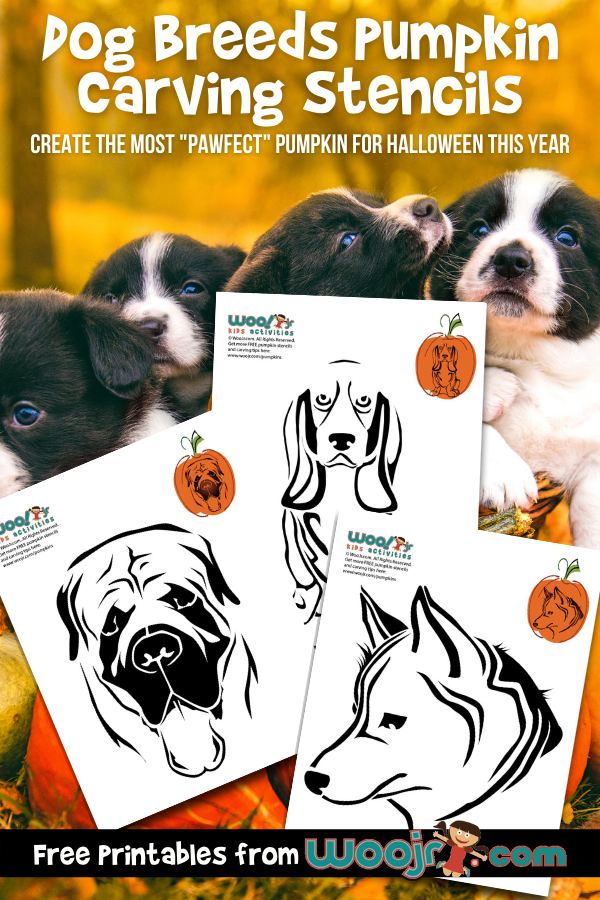 Dog breeds pumpkin carving stencils woo jr kids activities childrens publishing