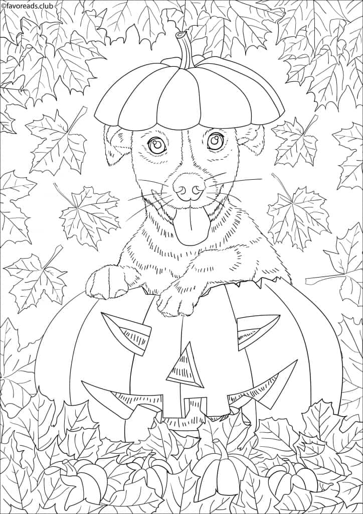 Cats and dogs â dog in a pumpkin â favoreads coloring club