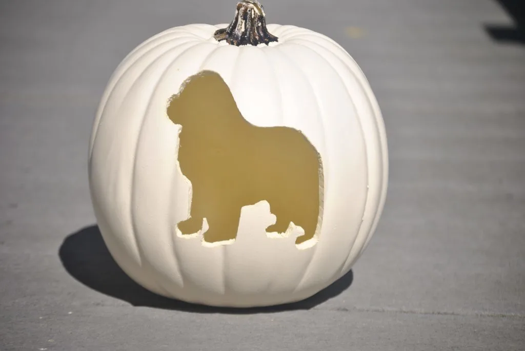 Easy dog pumpkin carving patterns