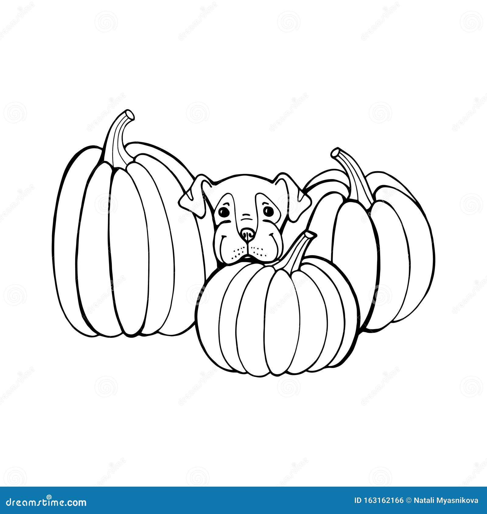 Dog with pumpkin coloring book page stock vector