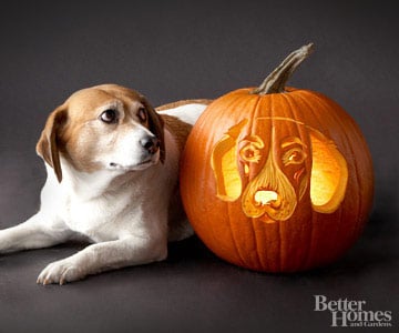 Downloadable dog breed pumpkin stencils pets