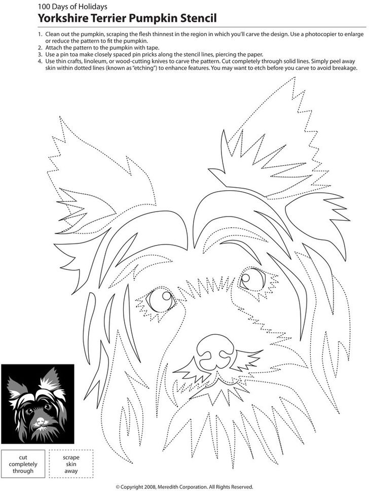 Downloadable dog breed pumpkin stencils dog stencil pumpkin stencil pumpkin carvings stencils