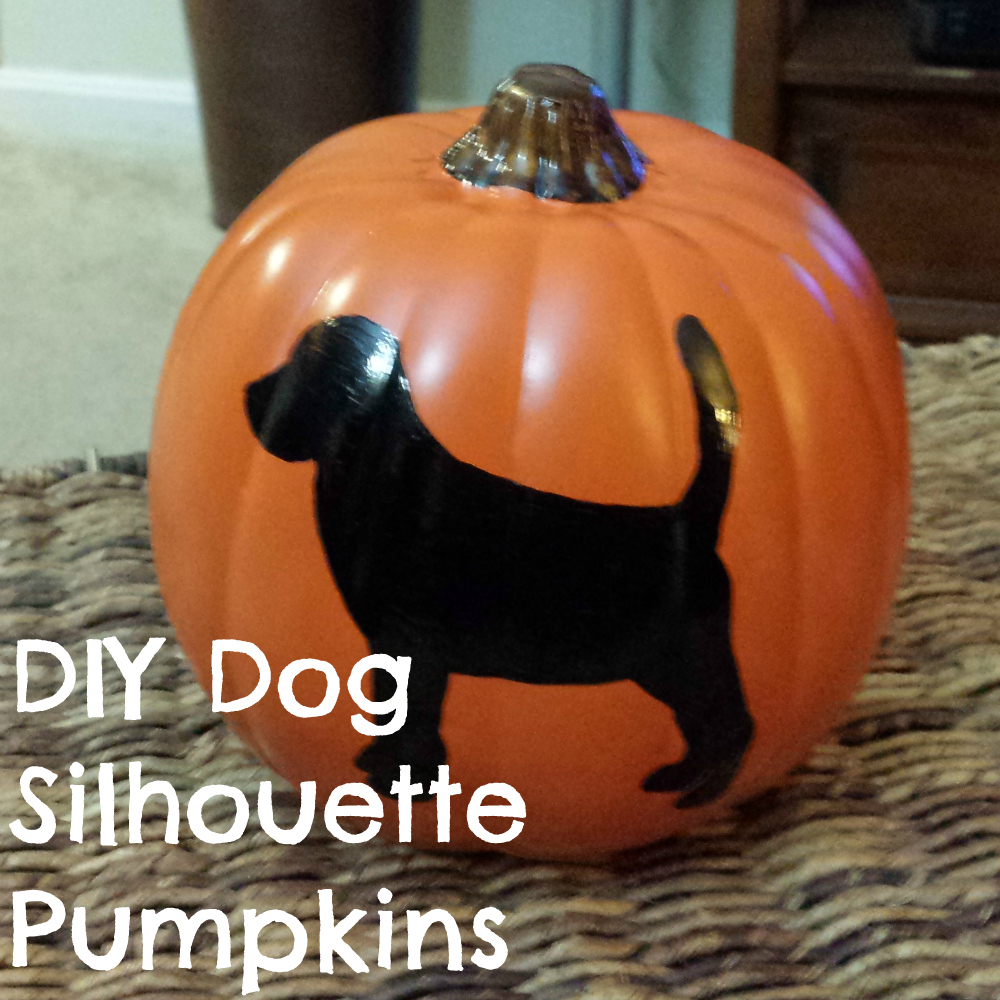 Diy dog silhouette carvable pumpkins