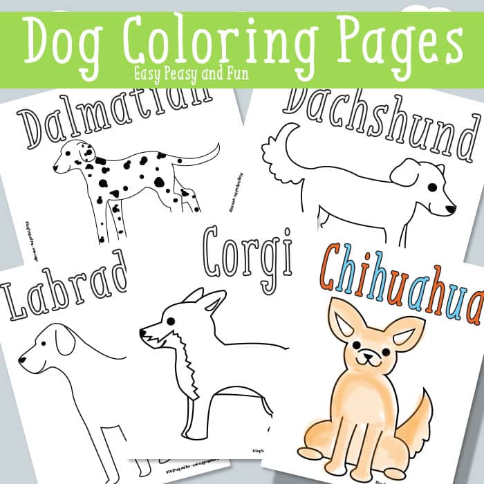 Dog coloring pages