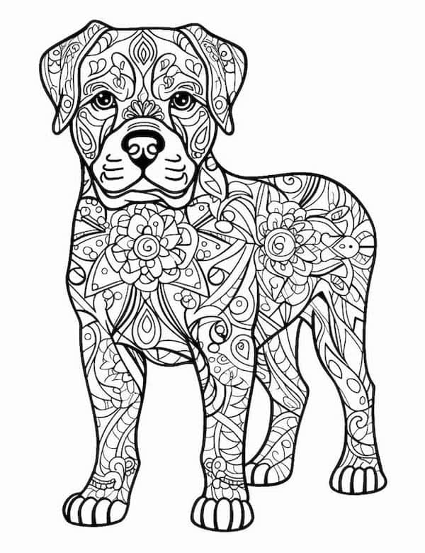 Dog coloring pages for kids and adults