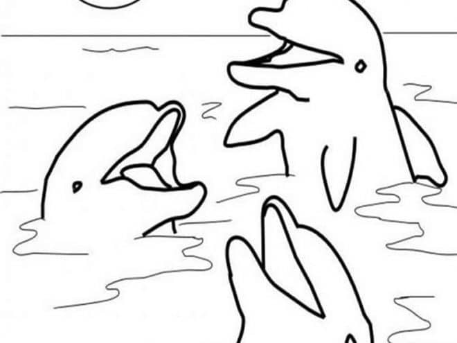 Free easy to print dolphin coloring pages