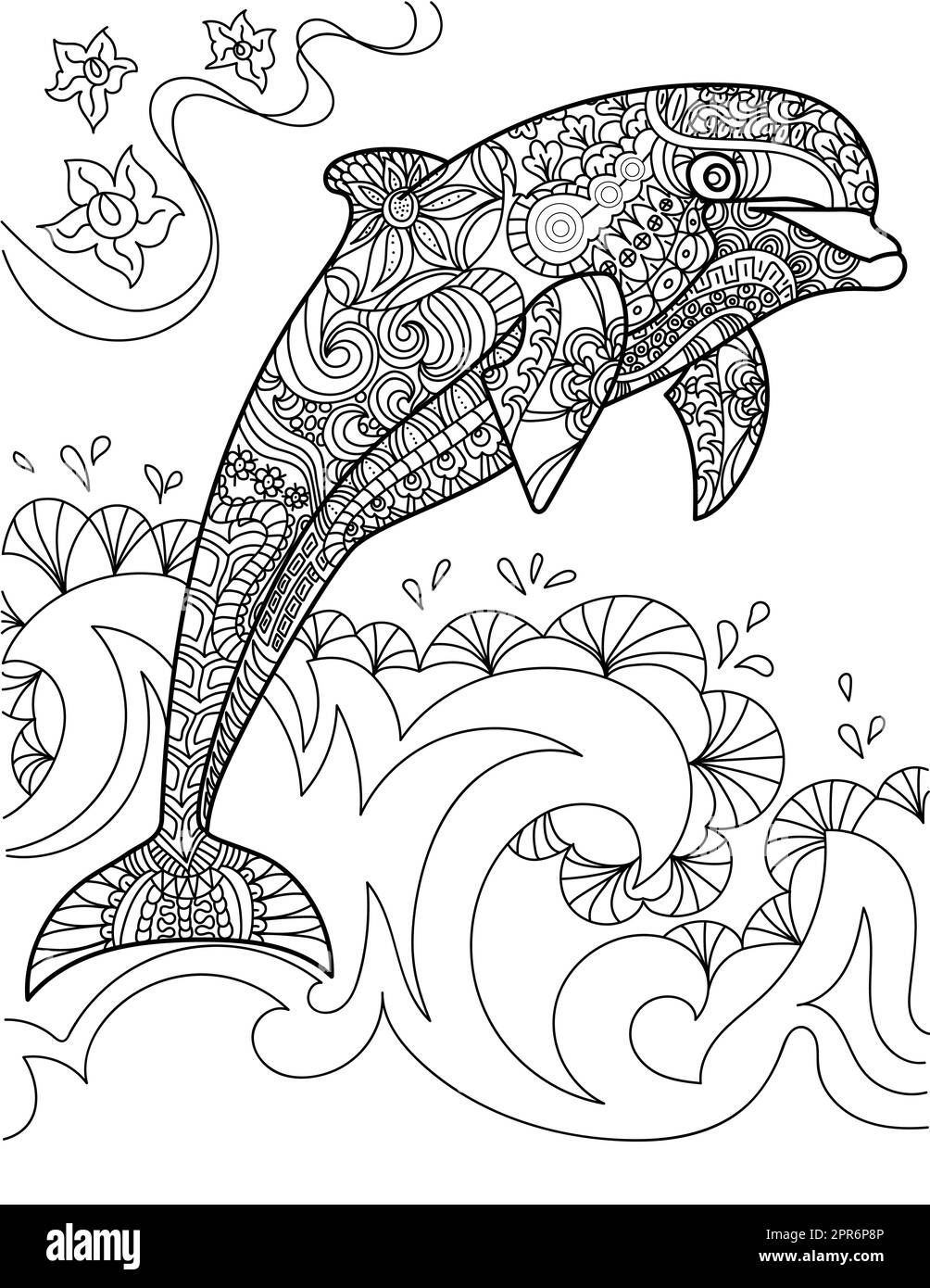 Dolphin coloring book page black and white stock photos images