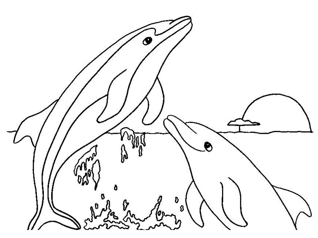 Free printable dolphin coloring pages for kids