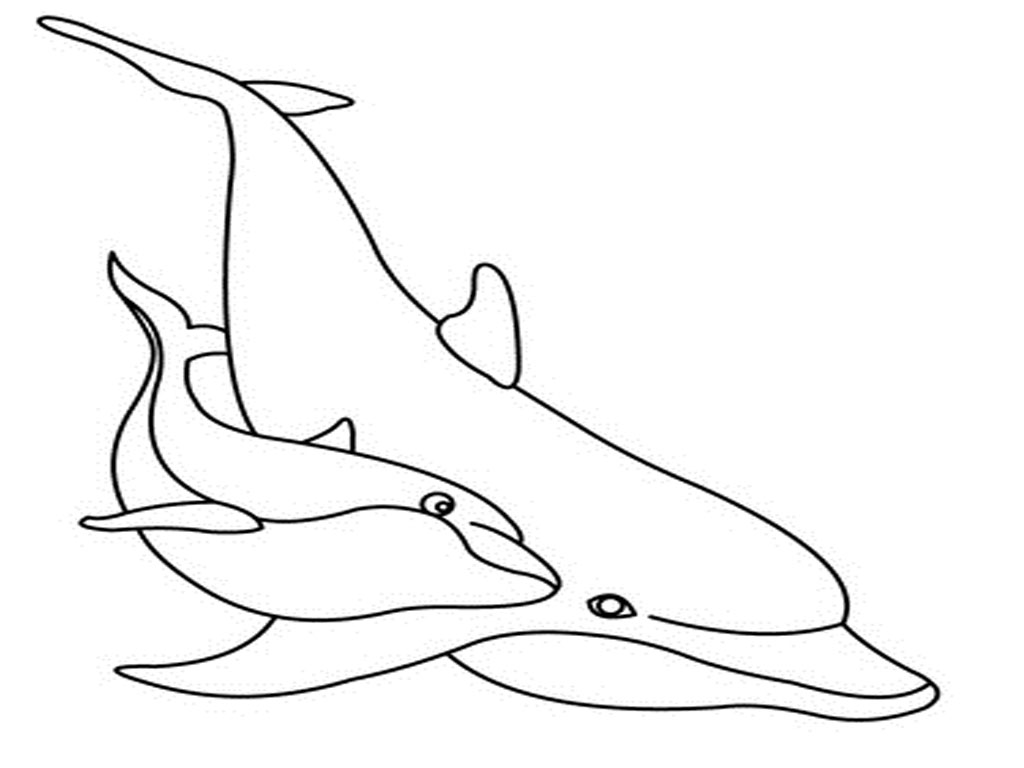 Free printable dolphin coloring pages for kids