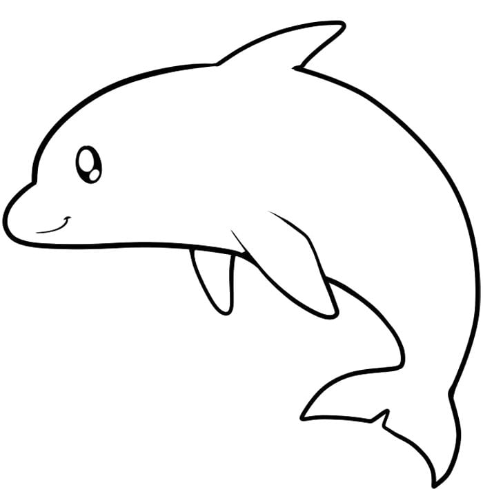 Dolphin