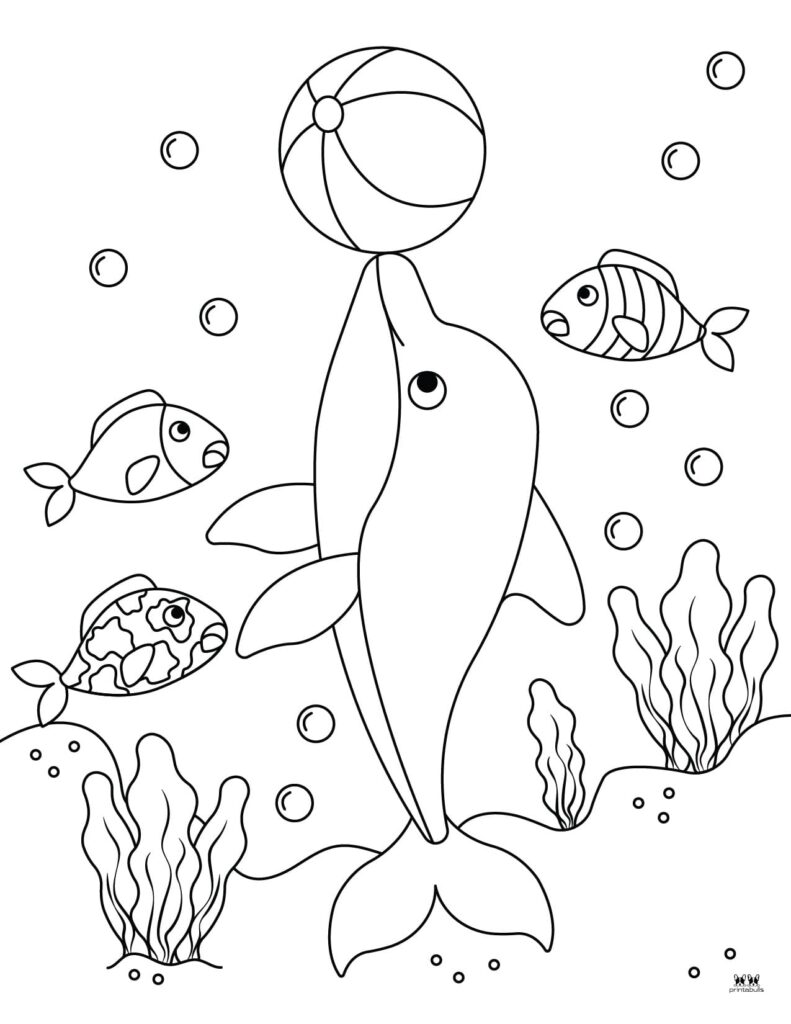 Dolphin coloring pages templates