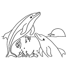 Top free printable dolphin coloring pages online