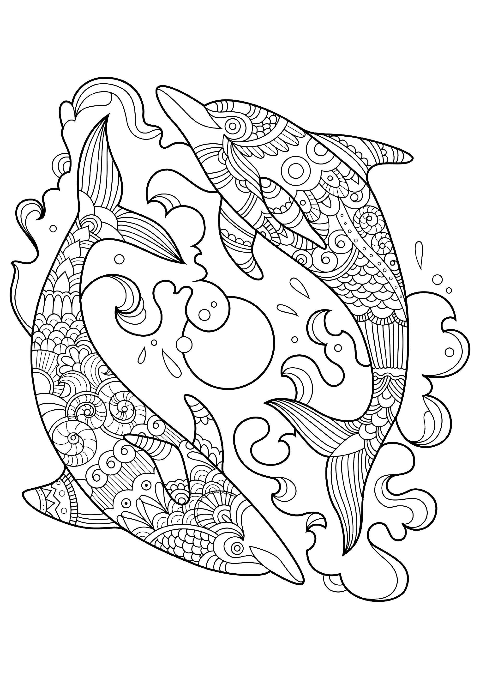 Dolphins kids coloring pages