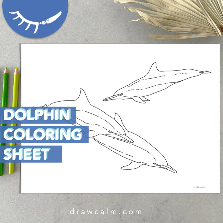 Dolphin coloring page printable â draw calm