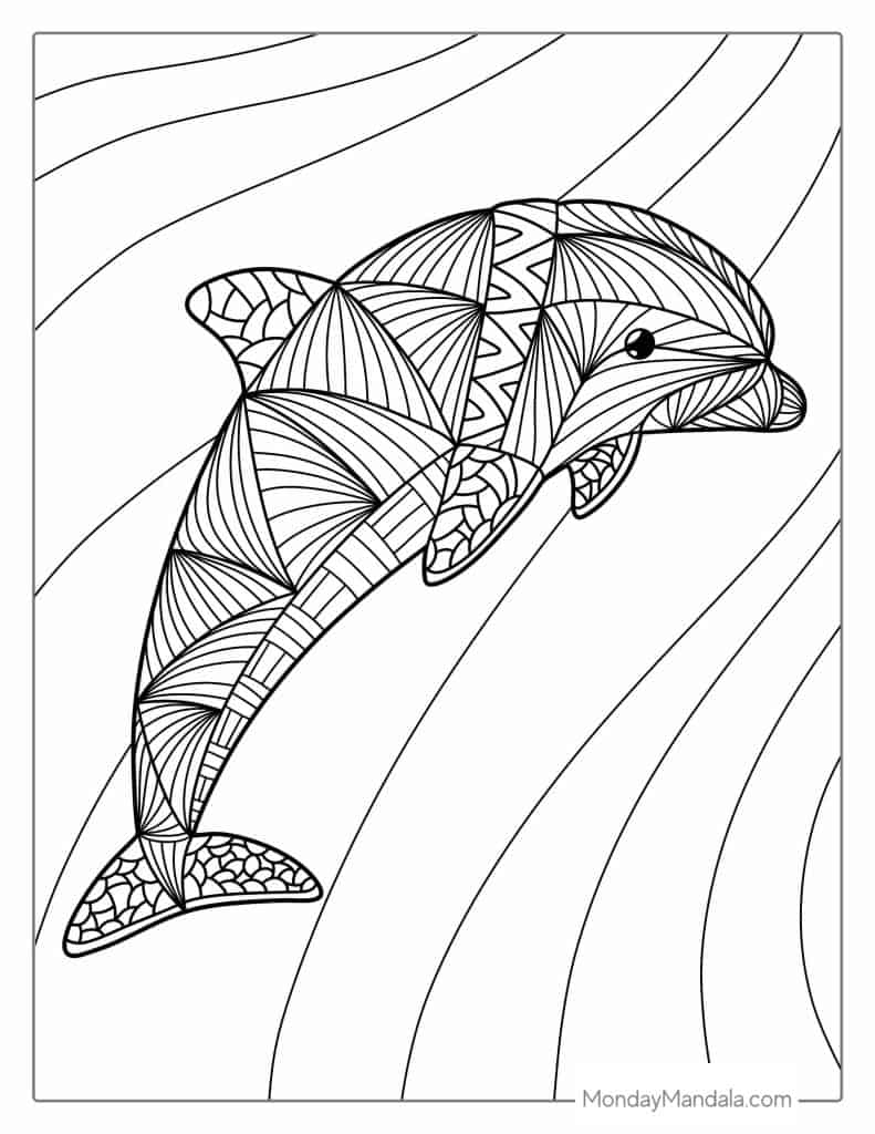 Dolphin coloring pages free pdf printables