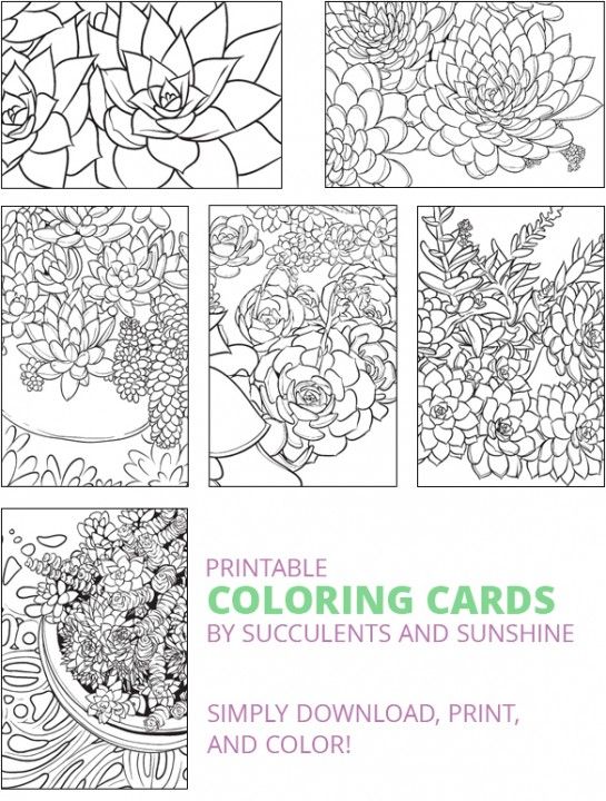 Succulent colorg card â free prtable succulents and sunshe prtable colorg cards color card cards