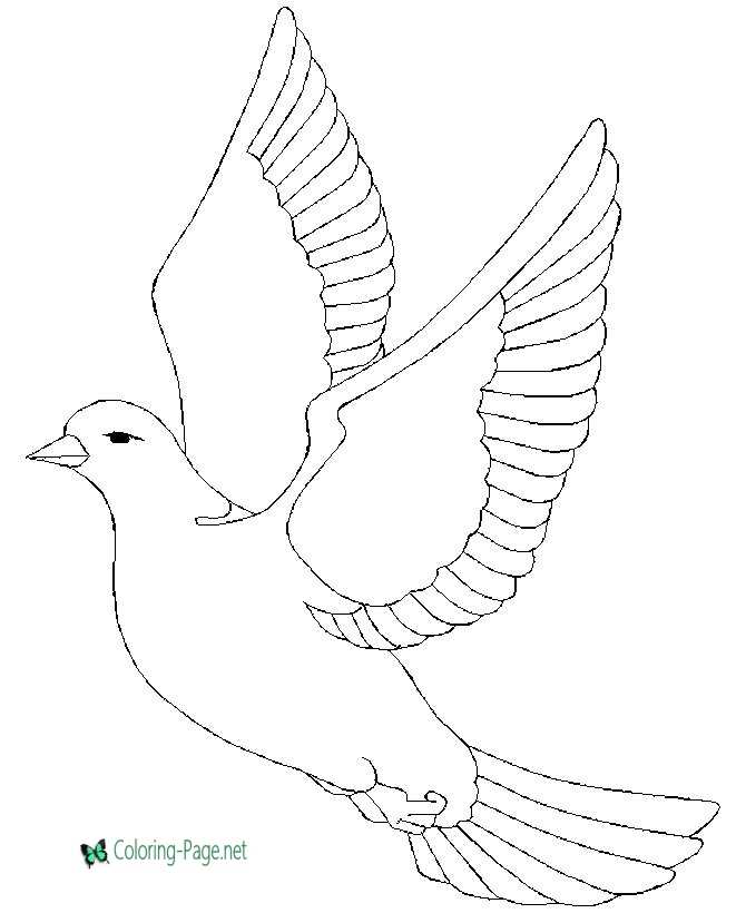 Dove coloring pages