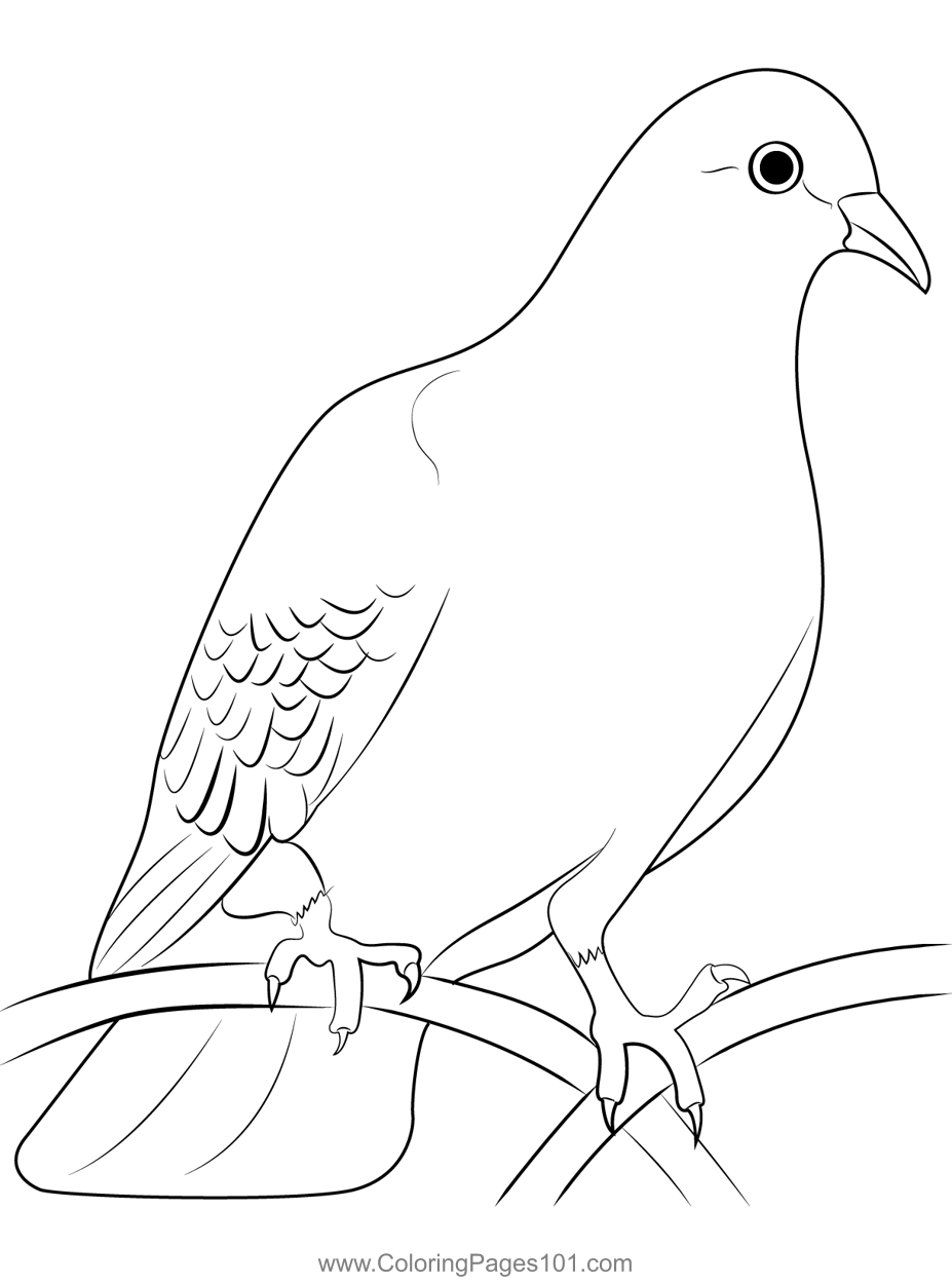 Dove coloring page for kids