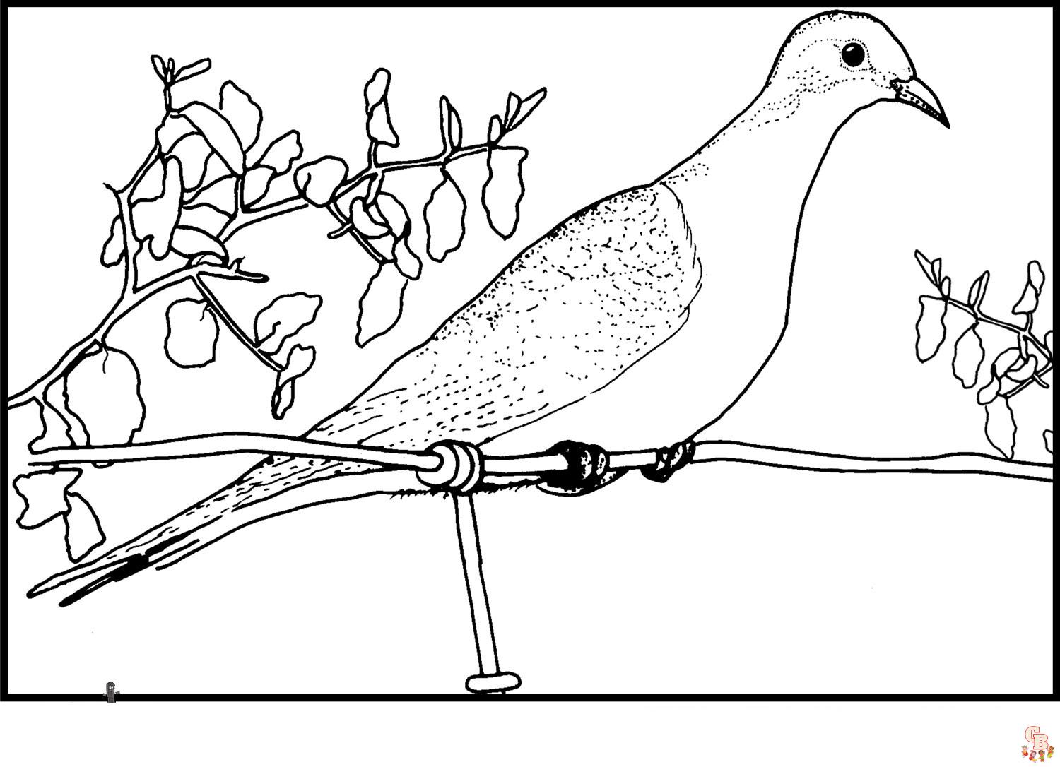 Discover the beauty of dove coloring pages free printable sheets