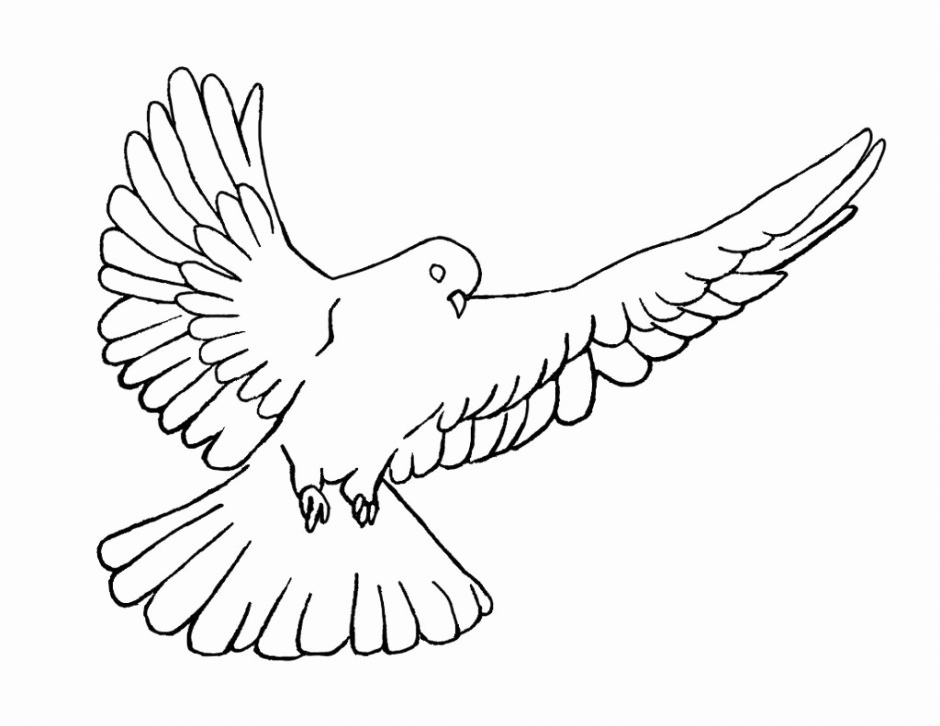 Dove coloring pages