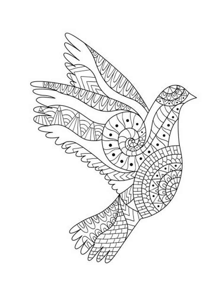 Dove coloring pages for adults