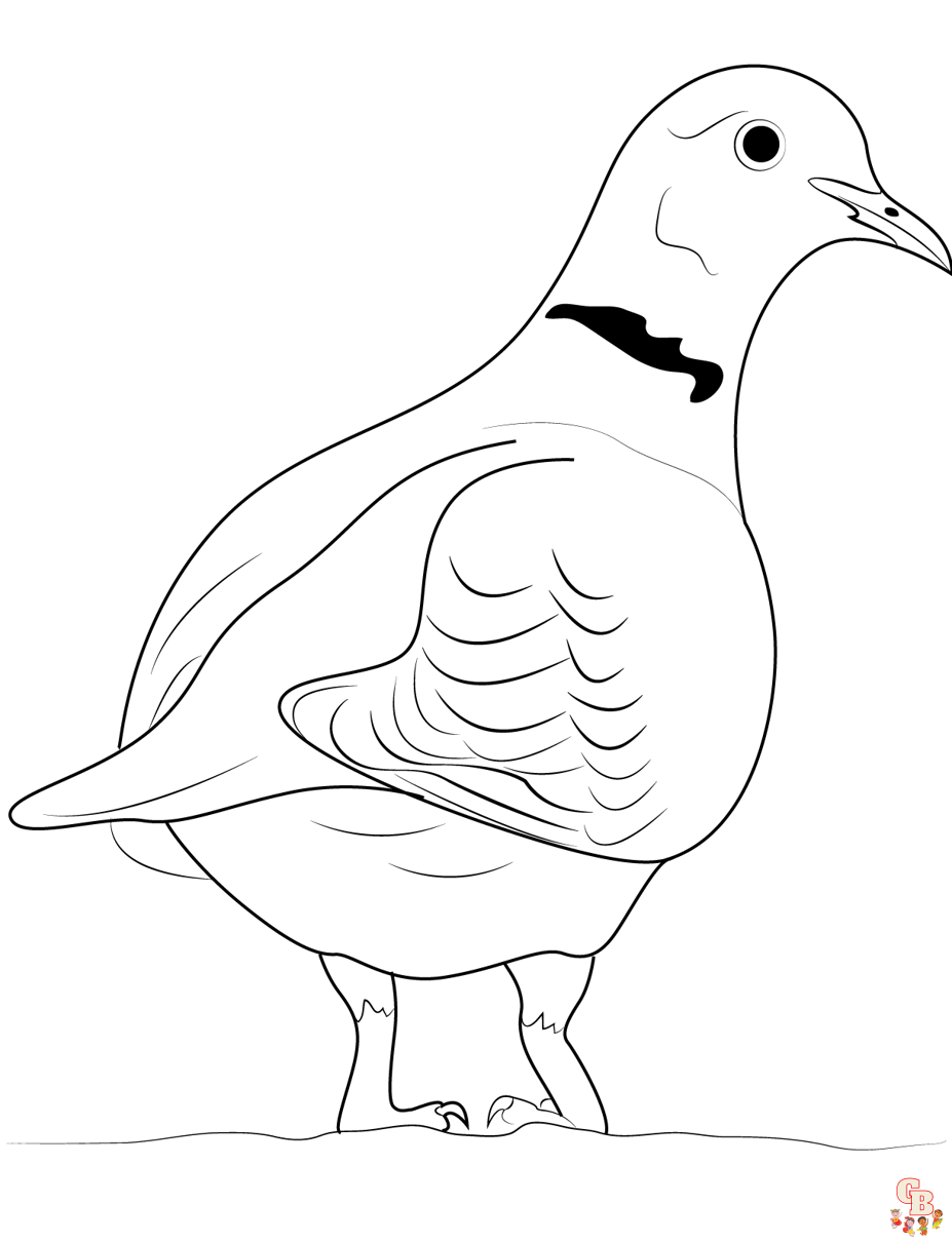 Discover the beauty of dove coloring pages free printable sheets